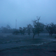 Image for article titled Photos: Hurricane Florence makes landfall